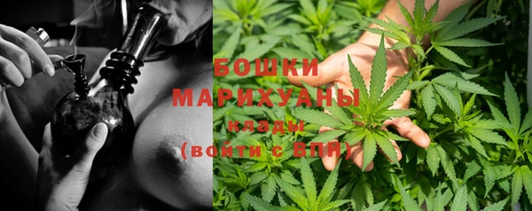 эйфоретик Богданович