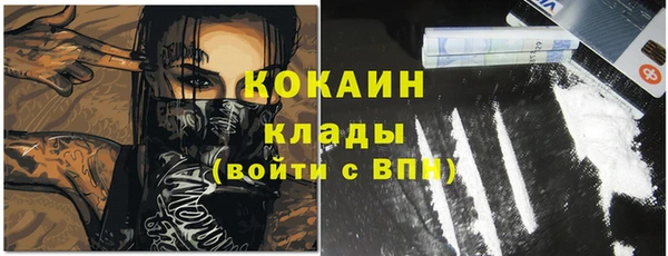дживик Богородск