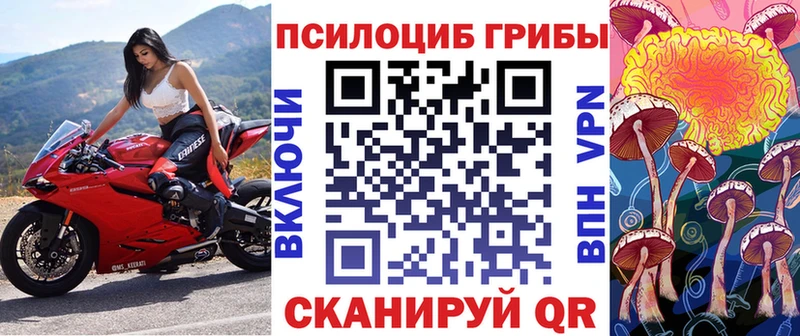 купить наркоту  Раменское  Псилоцибиновые грибы мицелий 